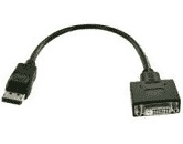 Display Port zu DVI-D Adapterkabel